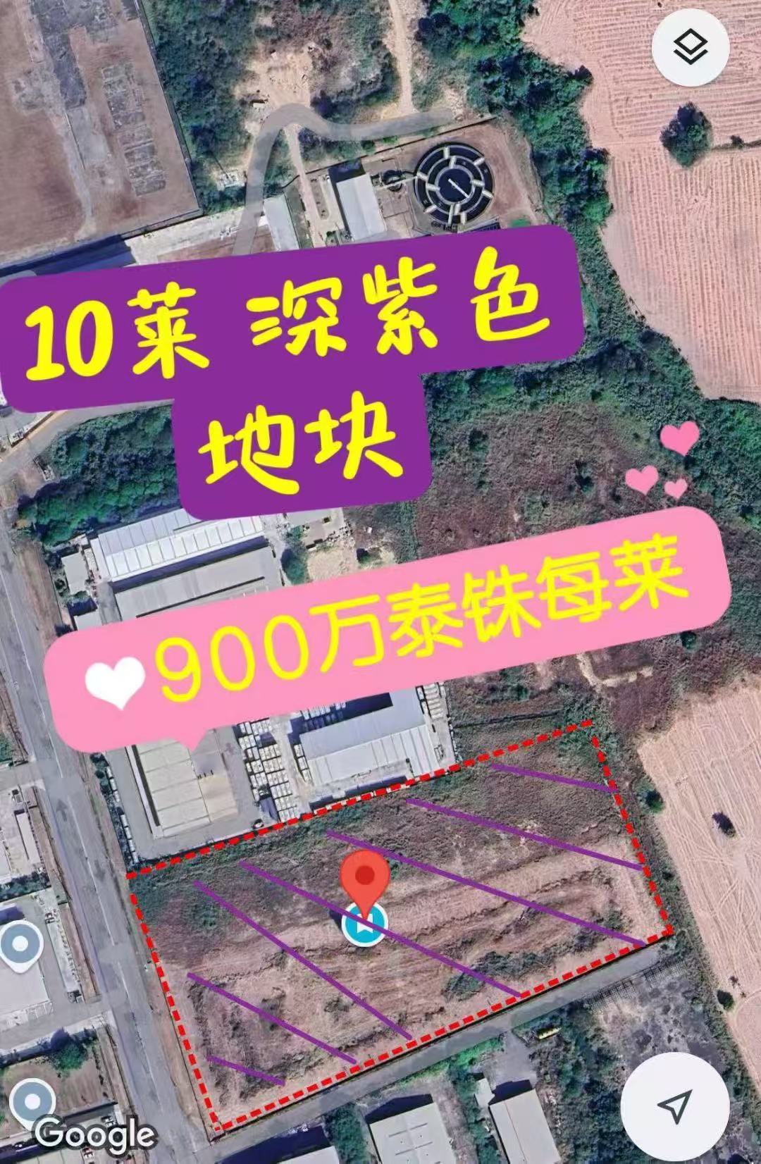 伟华10莱1