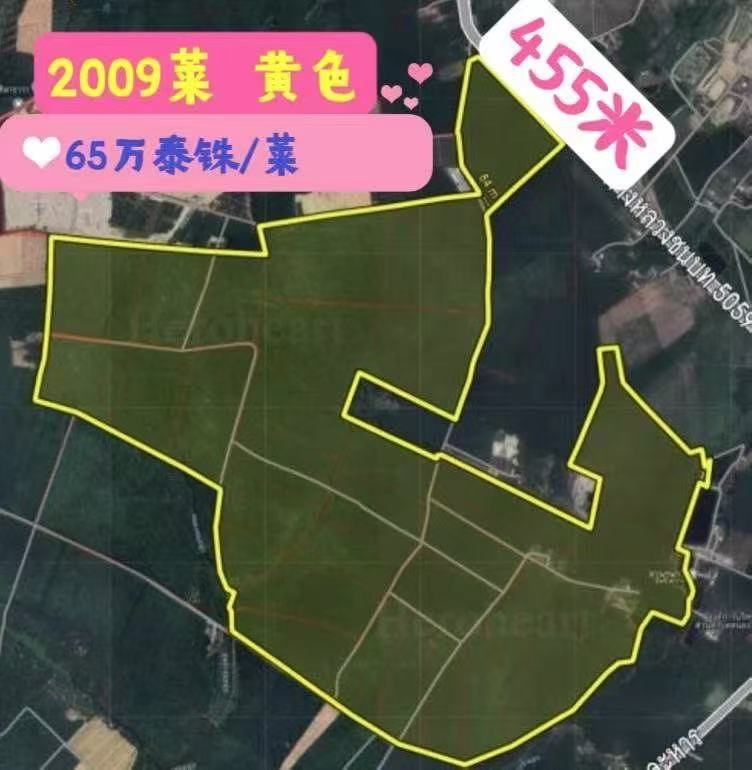 罗勇2009莱黄色土地出售