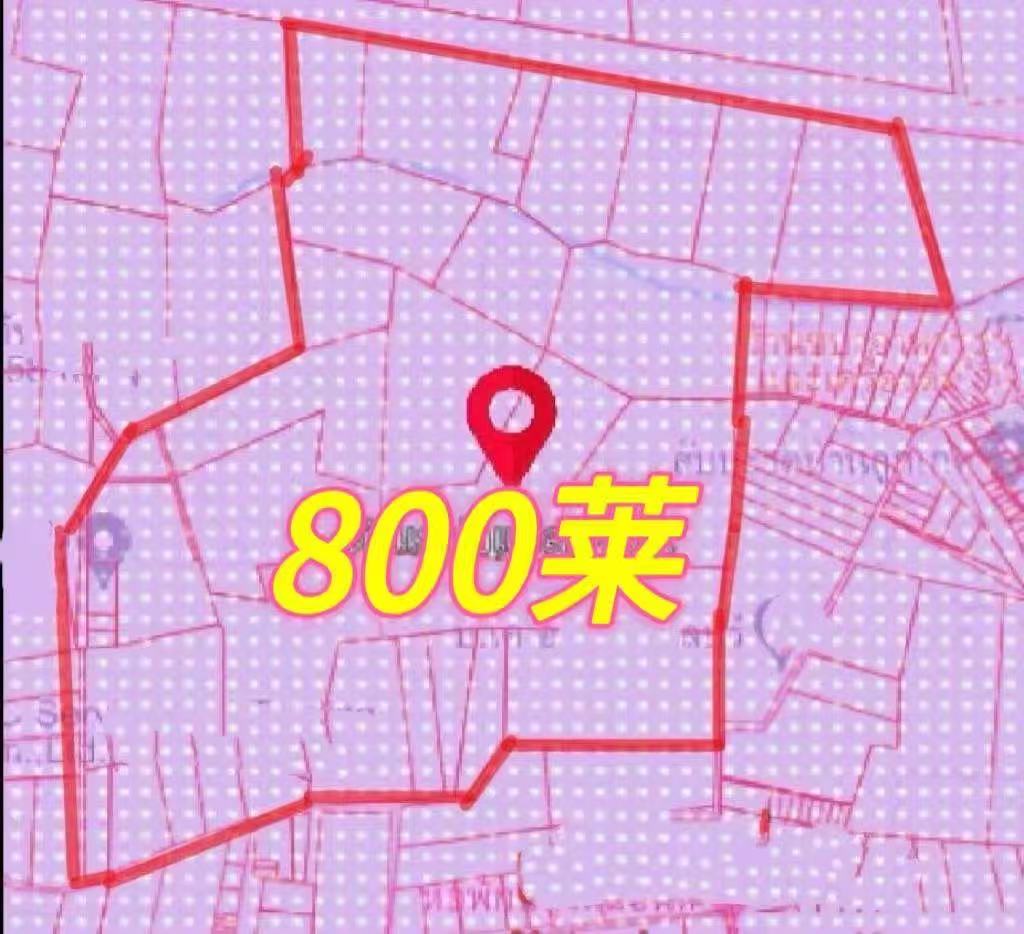 800莱4